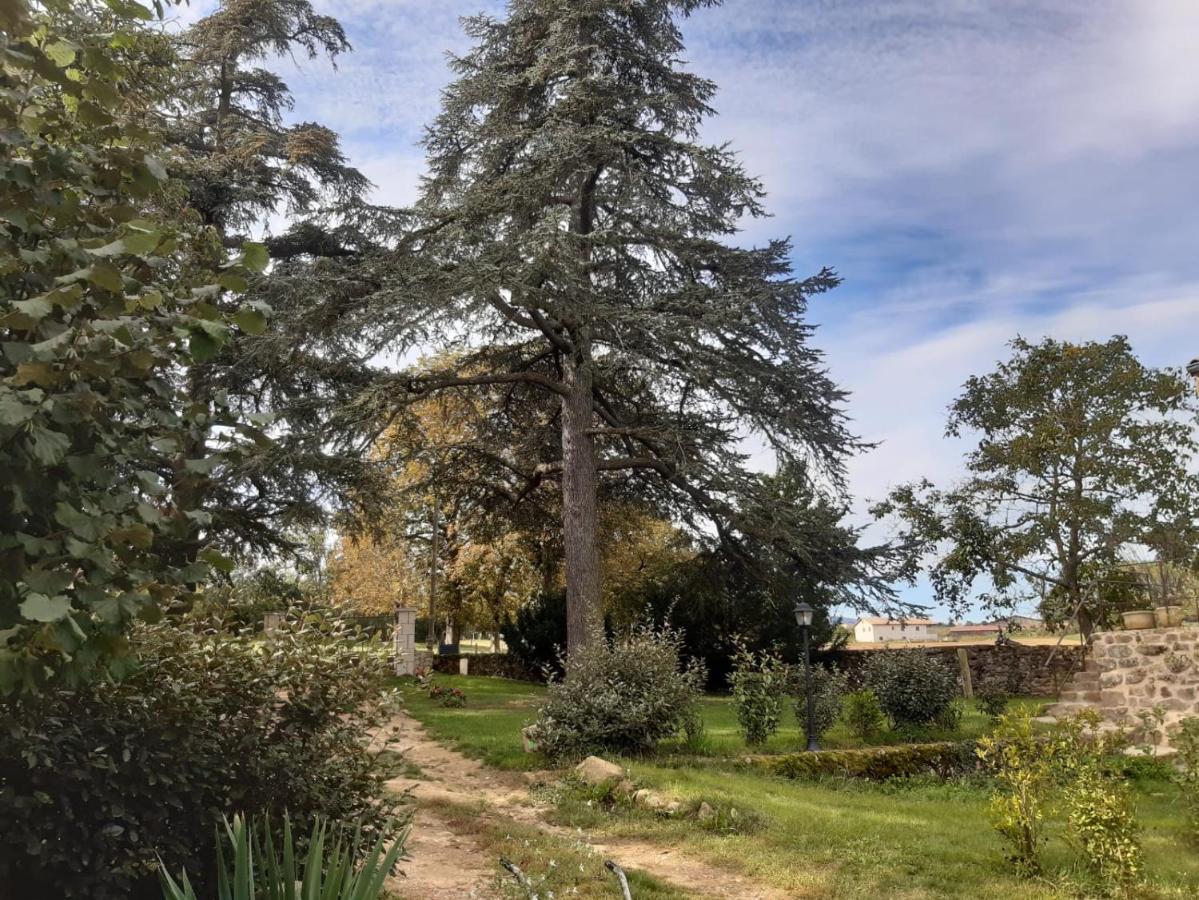 "La Voute De Pierre" Gite Independant Saint-Cyr  ภายนอก รูปภาพ