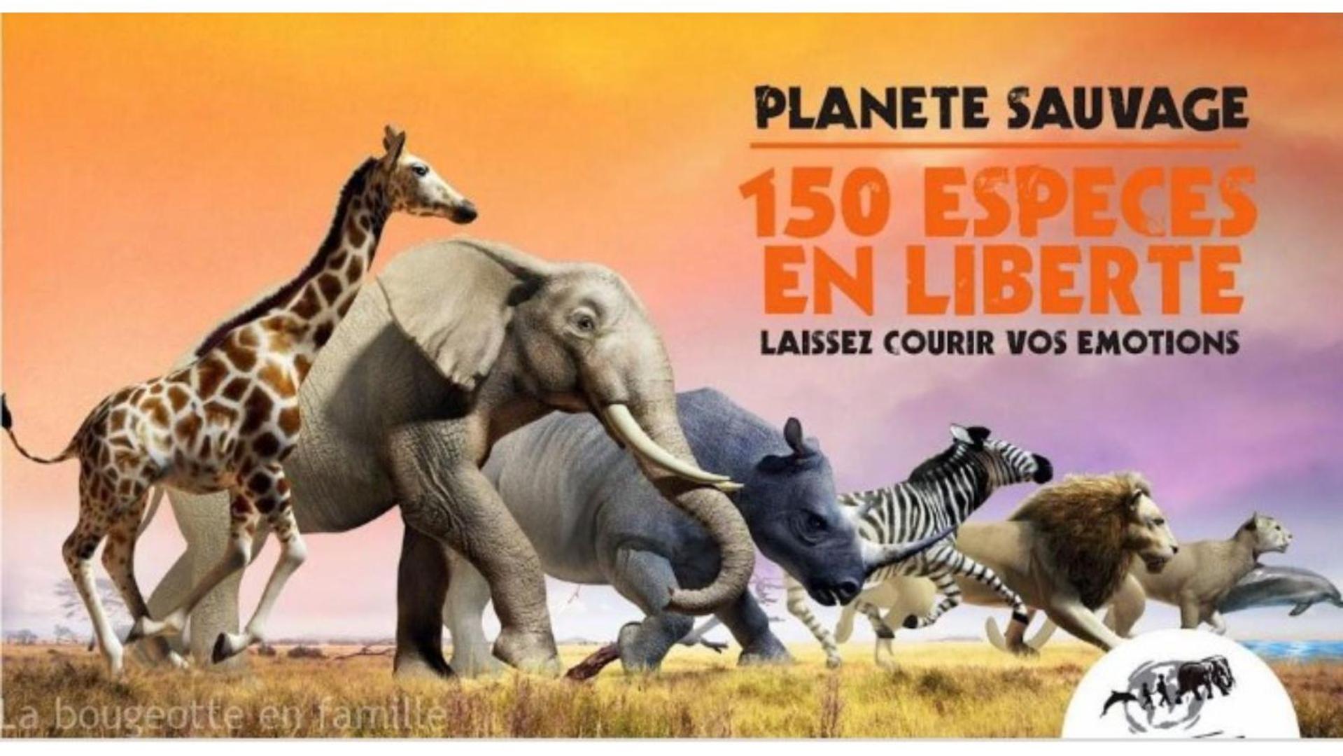 "La Voute De Pierre" Gite Independant Saint-Cyr  ภายนอก รูปภาพ